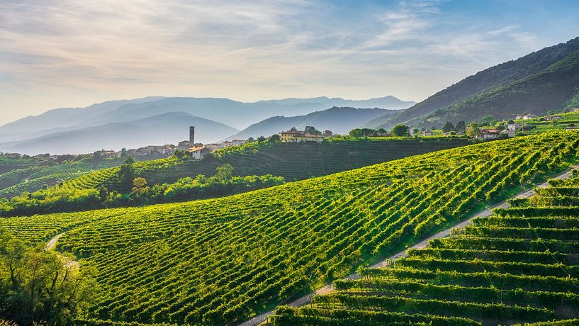 Prosecco Hills, vineyards and San Pietro di Barbozza village by Stefano Orazzini