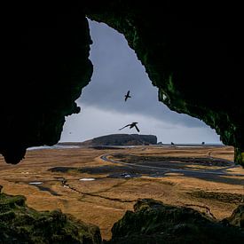 IJsland grot, Iceland cave van Corrine Ponsen