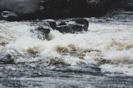 Rio Magdalena stroomversnelling van Ronne Vinkx thumbnail
