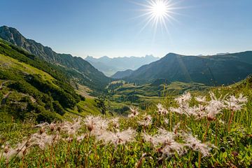 Vue fleurie sur les montagnes de Tannheim sur Leo Schindzielorz