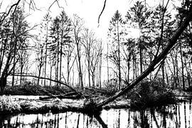 Askew over the Swalm (Black and White) by Strooptocht.EU