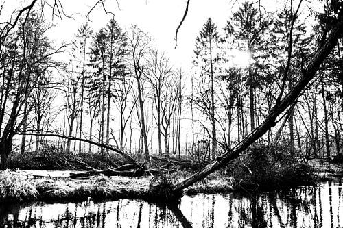 Schots en scheef over de Swalm (Zwart-Wit)