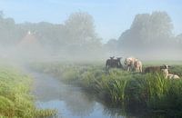 Mistig landschap 