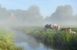 Mistig landschap  van Jitske Van der gaast