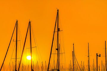 Zonsondergang en masten in de haven van Stavoren, Friesland.