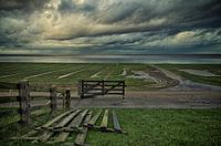 Wadden foreland