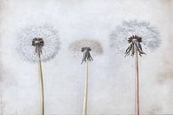 Verstilde tijd van Japandi Art Studio thumbnail