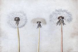 Stille Zeit von Japandi Art Studio