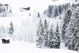 Winterwonderland by Daisy Gilyamse