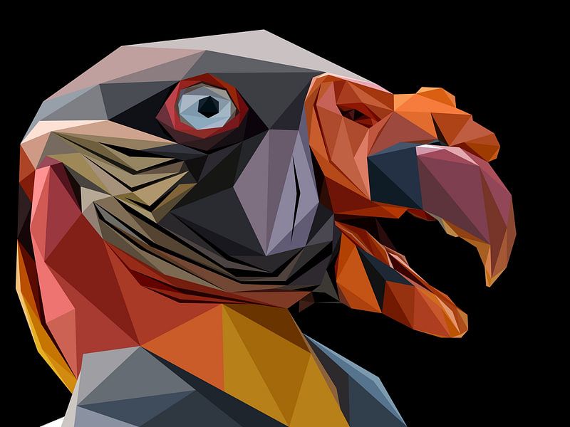 King Vulture Bird Abstract Low Poly Illustration by Yoga Art 15