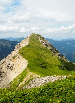 Les Alpes - sauvages, calmes, puissantes et délicates à la fois ️✨ Chaque facette raconte une histoire de nature, de lumière et de vie. sur Miriam Schwarzfischer Fotografie
