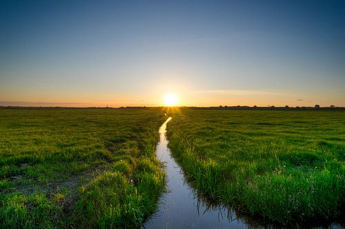 Crooked Brook by Igwe Aneke