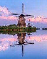 Rosa Wolke Kinderdijk