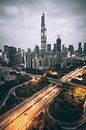 Shenzhen Skyline von Flave_de Miniaturansicht
