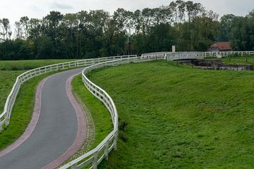 Country road with white railings.