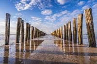 Zeeland Coast