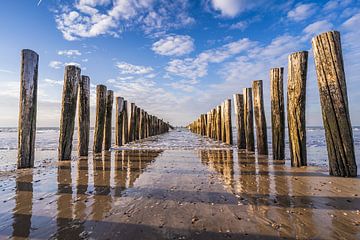 Zeeland Küste von Jolanda Bosselaar