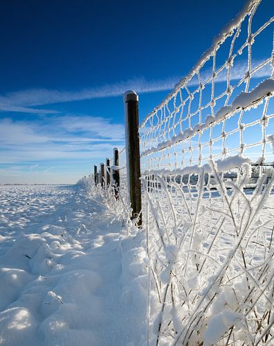 Winterlandschap