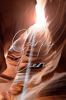 Carpe Diem - Pluk de Dag 2