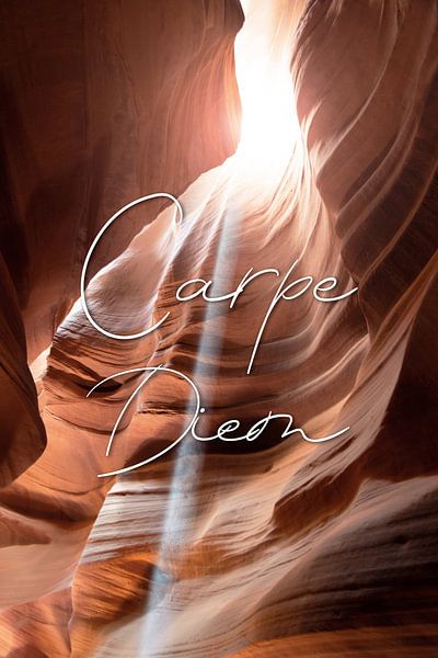 Carpe Diem - von Patrick Ouwerkerk