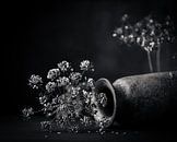 Gedroogde bloemen, gedroogde berenklauw met liggende vaas. van Henk Van Nunen Fotografie thumbnail