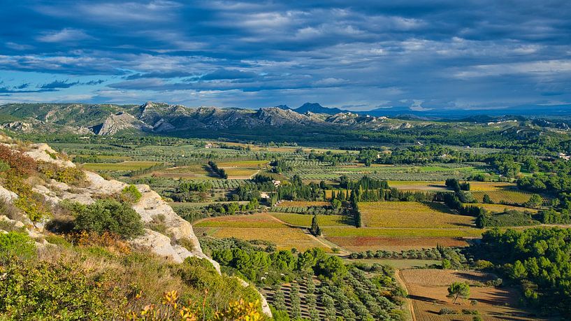 Paysage en Provence par Tanja Voigt
