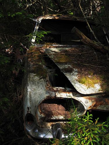 Autowrak in het bos bij Ryd 5