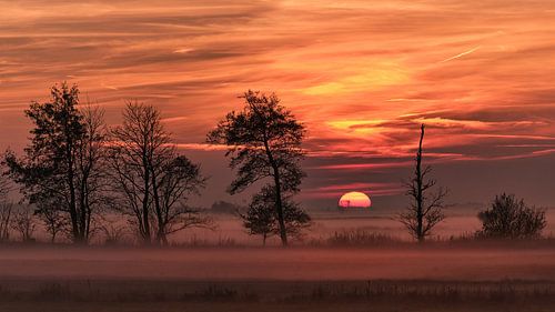 Brouillard d'automne