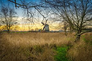 Twiskemolen am Winternachmittag, Amsterdam