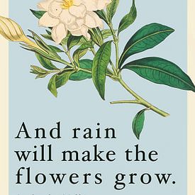 Und Regen wird die Blumen wachsen lassen von Maria Blair