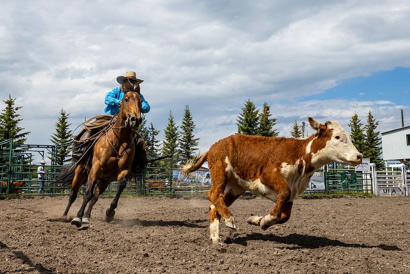 Rodeo im Wilden Westen von Roland Brack