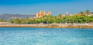 Cathedral la seu in Palma de Majorca city center, Spain, Balearic Islands, Mediterranean Sea by Alex Winter