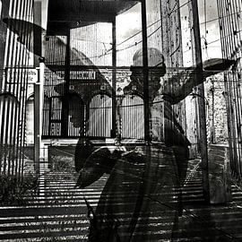 De onverwachte komst van de engelen