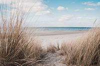 The Zeeland coast