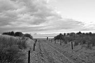 Magische Sanddünen an der Ostsee in Warnemünde von Silva Wischeropp Miniaturansicht