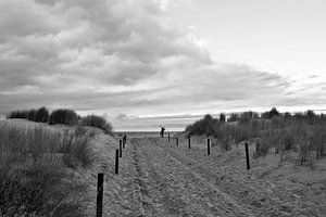 Magische Sanddünen an der Ostsee in Warnemünde
