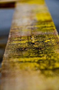 Detail aangespoelde pallet op Maasvlakte strand