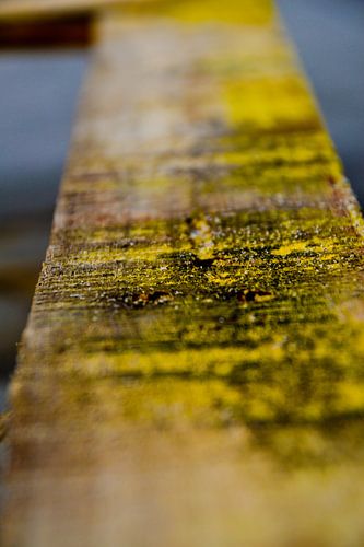 Détail d'une palette échouée sur la plage de Maasvlakte