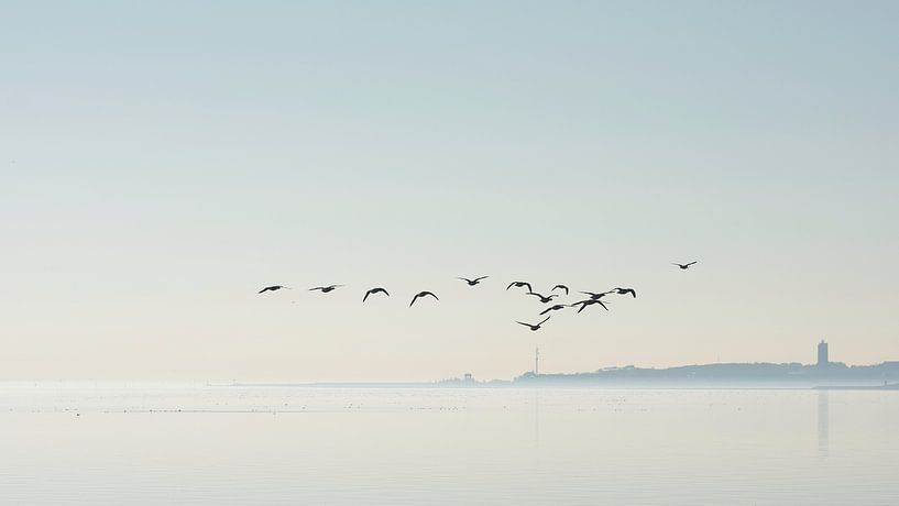 Geese above the mudflats by Albert Wester Terschelling Photography