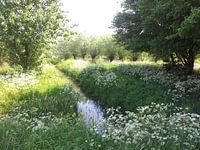 Volle Natuur