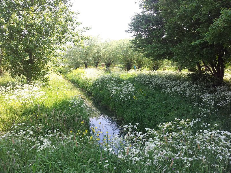 Volle Natuur by Dirk van der Eijk