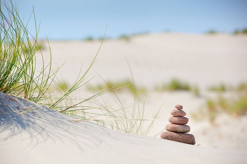 Pierres dans les dunes par Leo van Valkenburg