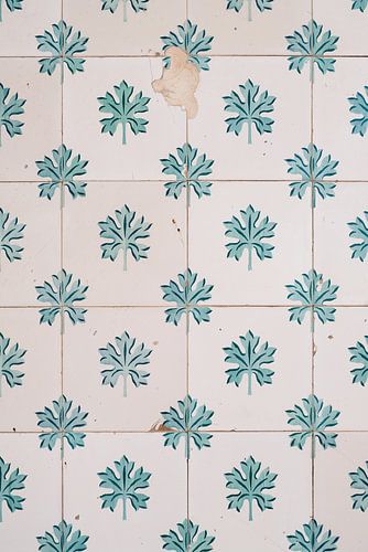 Oude keramische tegels uit Valencia // Spanje // Reis- en Straatfotografie