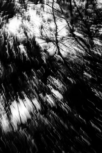 In motion - abstract photography by Linda Bouritius