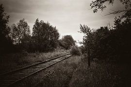 Abandoned Railway 73 by vw-photography
