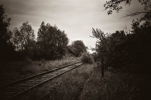 Abandoned Railway 73