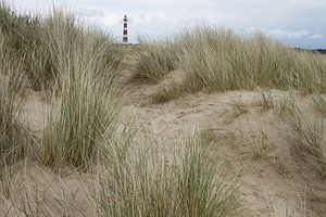 vuurtoren Ameland