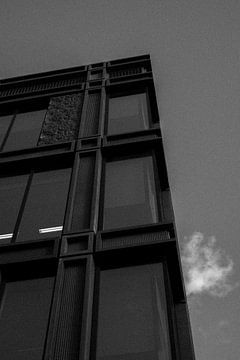 Un bâtiment pointu en noir et blanc | Leiden | Pays-Bas Photographie de voyage sur Dohi Media