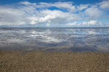 Wad bei Peasens Moddergat von Fonger de Vlas