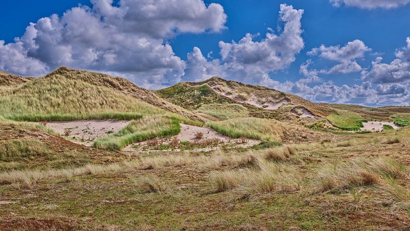 Julianandop with its dunes in the landscape by eric van der eijk